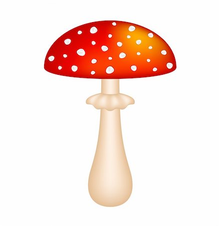 Amanita (red amanita) isolated on white background Stock Photo - Budget Royalty-Free & Subscription, Code: 400-06515241