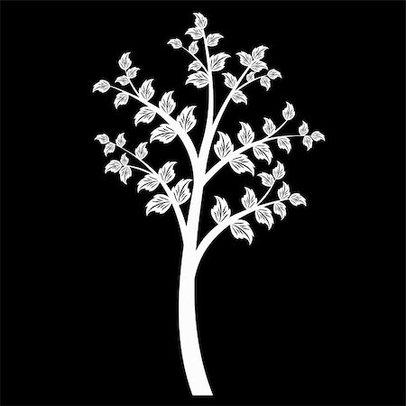 Beautiful art tree isolated on black background Fotografie stock - Microstock e Abbonamento, Codice: 400-06515558