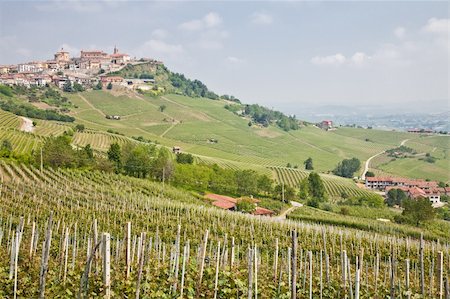 Tuscany. Vineyard in the middle of the most famous wine region of Italy. Stock Photo - Budget Royalty-Free & Subscription, Code: 400-06515697