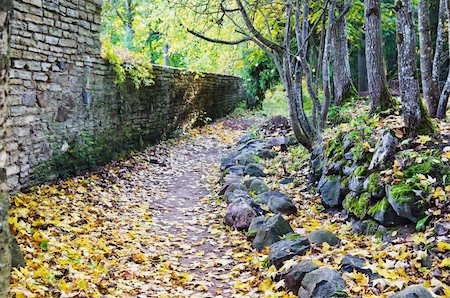 simsearch:400-04289235,k - Footpath in fallen down leaves in autumn park Foto de stock - Super Valor sin royalties y Suscripción, Código: 400-06515888