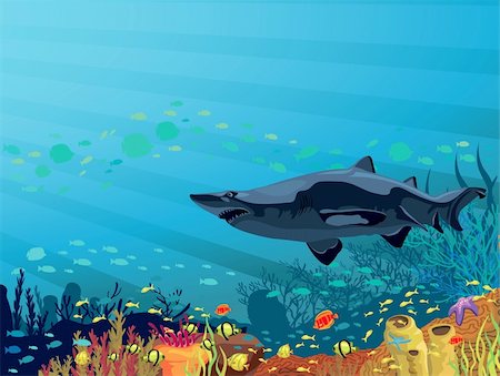 simsearch:400-05901743,k - Colored coral reef with shark and silhouette of fish on blue sea background Stock Photo - Budget Royalty-Free & Subscription, Code: 400-06517063