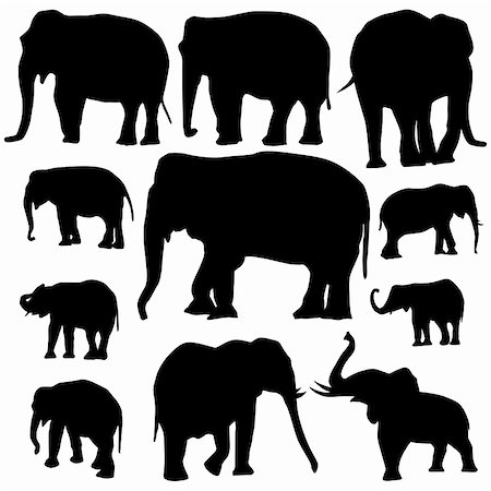 elephant illustration - Vector illustration of Elephant silhouettes on white background Stock Photo - Budget Royalty-Free & Subscription, Code: 400-06519312