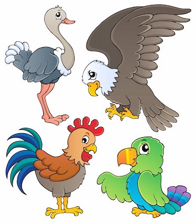 drawing eagle clipart - Various birds theme set 1 - vector illustration. Stock Photo - Budget Royalty-Free & Subscription, Code: 400-06519503