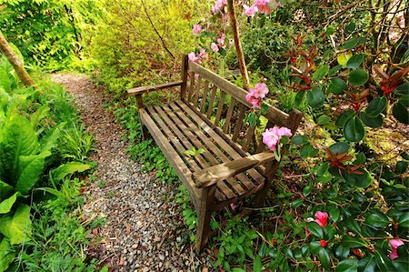 Beautiful romantic garden with wooden bench and azalea trees Foto de stock - Royalty-Free Super Valor e Assinatura, Número: 400-06512955