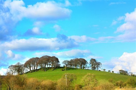 Beautiful Scottish landscape with hills and trees Foto de stock - Royalty-Free Super Valor e Assinatura, Número: 400-06512952