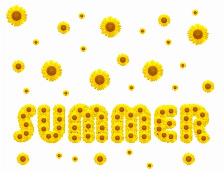 The summer season with sunflowers on the background Fotografie stock - Microstock e Abbonamento, Codice: 400-06513318