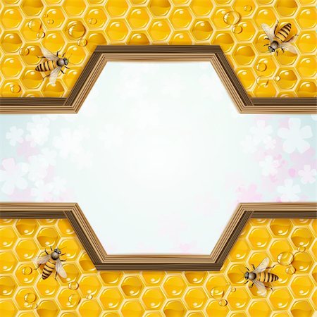 dinner in the sky - Wood frame with bees and honeycombs Stock Photo - Budget Royalty-Free & Subscription, Code: 400-06513584