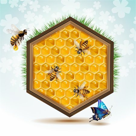 dinner in the sky - Wood frame with bees and honeycombs Stock Photo - Budget Royalty-Free & Subscription, Code: 400-06513580