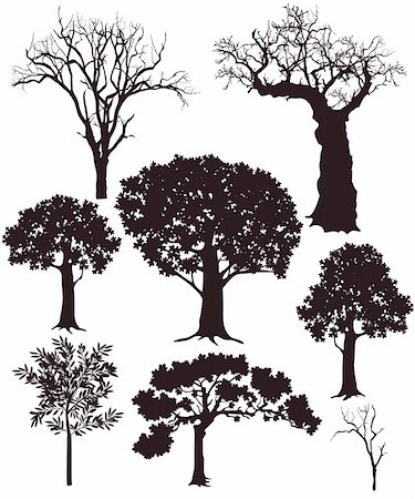 tree silhouettes Stock Photo - Budget Royalty-Free & Subscription, Code: 400-06513638