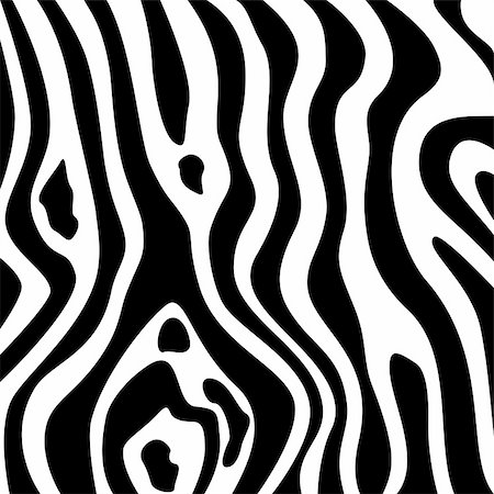 Zebra texture black and white Stock Photo - Budget Royalty-Free & Subscription, Code: 400-06513808