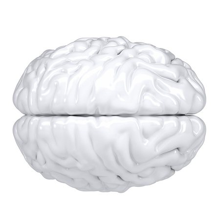 3d white human brain. View from above. Isolated render on a white background Stock Photo - Budget Royalty-Free & Subscription, Code: 400-06524147