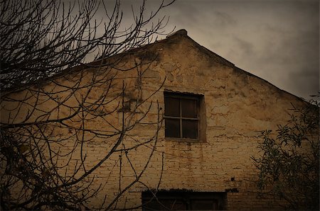 Abandoned house roof and tree branches on rainy day. Architectural detail. Photographie de stock - Aubaine LD & Abonnement, Code: 400-06524422