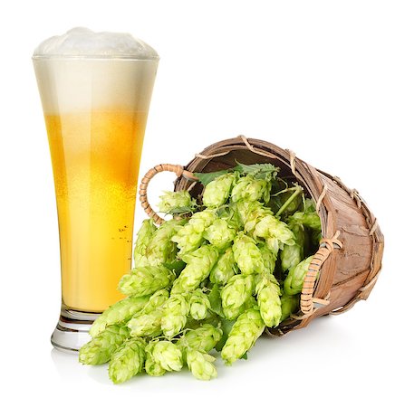 Light beer and hop in basket isolated on white background Stock Photo - Budget Royalty-Free & Subscription, Code: 400-06526089