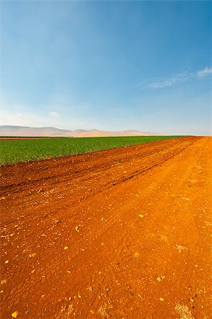 simsearch:400-06521455,k - Dirt Road between Green Fields in Israel, Spring Fotografie stock - Microstock e Abbonamento, Codice: 400-06526627