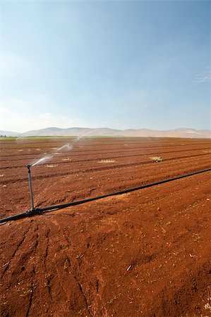 simsearch:400-06521455,k - Sprinkler Irrigation on a Plowed Field in Israel Fotografie stock - Microstock e Abbonamento, Codice: 400-06526639