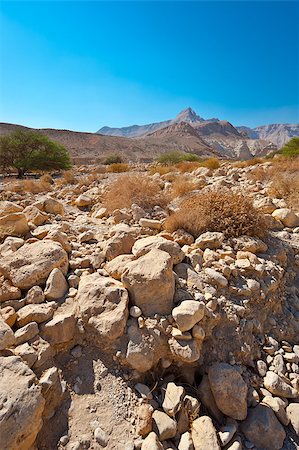 river bed - Dry Riverbed in the Judean Desert Photographie de stock - Aubaine LD & Abonnement, Code: 400-06526651