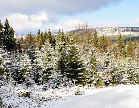 simsearch:400-07184753,k - Snowy and frosty winter landscape with blue sky Stock Photo - Budget Royalty-Free & Subscription, Code: 400-06526913