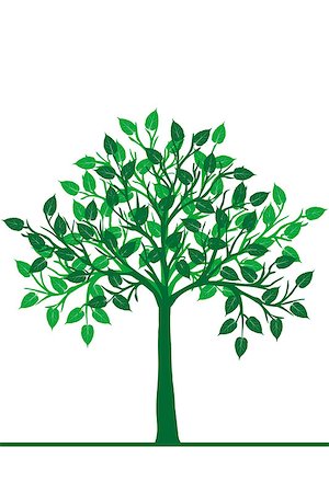 simsearch:400-04725012,k - Illustration of a green tree Stock Photo - Budget Royalty-Free & Subscription, Code: 400-06527683