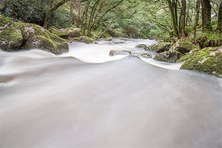 simsearch:400-04452321,k - Slow shutter fast flowing river in woodland, Dartmoor, UK. Fotografie stock - Microstock e Abbonamento, Codice: 400-06529347