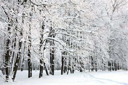 elenakovaleva (artist) - Beautiful Russian Winter Photographie de stock - Aubaine LD & Abonnement, Code: 400-06529548