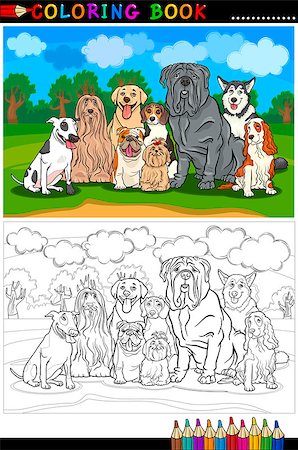 simsearch:400-09091868,k - Cartoon Illustration of Funny Purebred Dogs like Bull Terrier, Colie, Bulldog, Maltese, Beagle, Spaniel and Husky for Coloring Book or Coloring Page Fotografie stock - Microstock e Abbonamento, Codice: 400-06529551