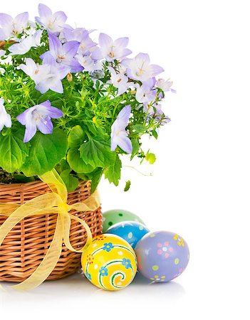 simsearch:614-06044149,k - easter eggs with spring flower in basket isolated on white background Foto de stock - Royalty-Free Super Valor e Assinatura, Número: 400-06529945
