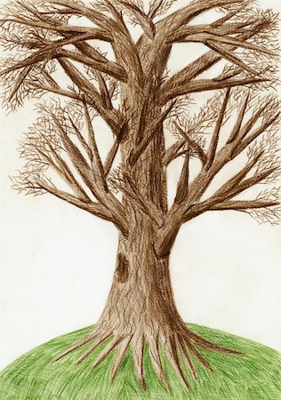 dinga (artist) - Artistic color pencil drawing "The Tree" Fotografie stock - Microstock e Abbonamento, Codice: 400-06520229