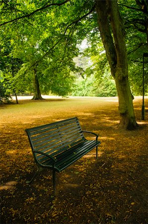 A solitary bench surrounded by trees and a nice walkway in a quiet park Foto de stock - Super Valor sin royalties y Suscripción, Código: 400-06520689