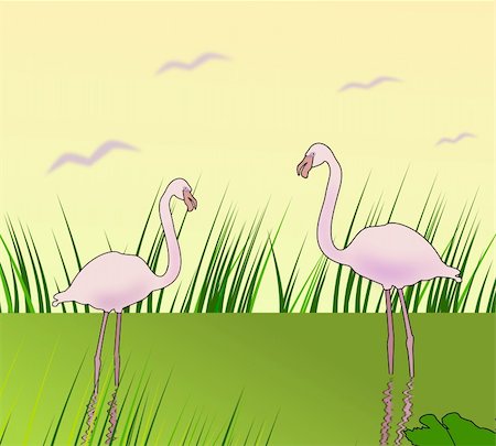 simsearch:400-07975760,k - Two flamingos standing in the water and     looking at each other. Fotografie stock - Microstock e Abbonamento, Codice: 400-06520681