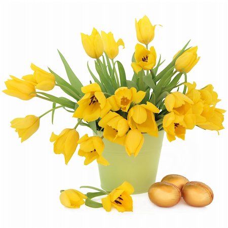simsearch:400-06356460,k - Yellow tulip flowers in a green bucket with golden easter eggs over white background. Foto de stock - Super Valor sin royalties y Suscripción, Código: 400-06520870