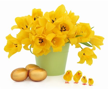 simsearch:400-06356460,k - Yellow tulip flowers in a green bucket with golden easter eggs and decorative chicks over white background. Foto de stock - Super Valor sin royalties y Suscripción, Código: 400-06521208