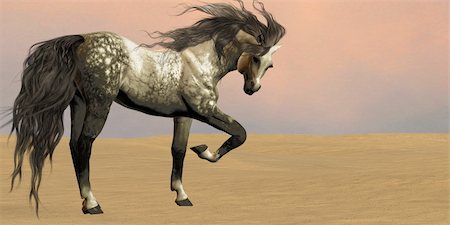 simsearch:400-04651783,k - An Arabian horse prances in the middle of a desert. Stock Photo - Budget Royalty-Free & Subscription, Code: 400-06521254