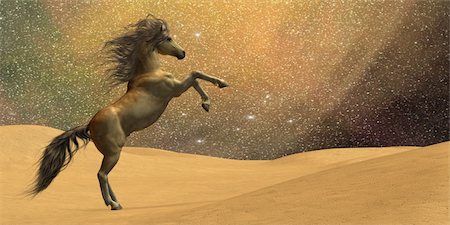 simsearch:400-04651783,k - A stallion rears in a desert underneath a night sky full of stars. Stock Photo - Budget Royalty-Free & Subscription, Code: 400-06521272