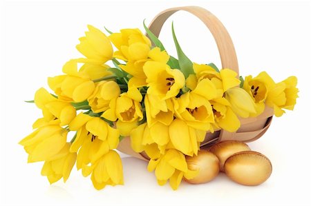 simsearch:400-06356460,k - Yellow tulip flower arrangement in an easter basket with golden chocolate eggs over white background. Foto de stock - Super Valor sin royalties y Suscripción, Código: 400-06521313