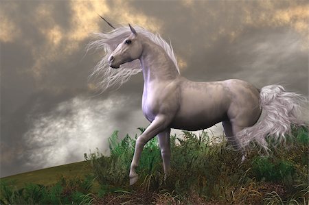 puledrino - Clouds and mist surround a beautiful unicorn stallion with a white coat. Fotografie stock - Microstock e Abbonamento, Codice: 400-06521404