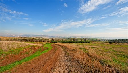 simsearch:400-06415579,k - Plantation of Date Palms and Oranges in the Winter Israel Stock Photo - Budget Royalty-Free & Subscription, Code: 400-06521455