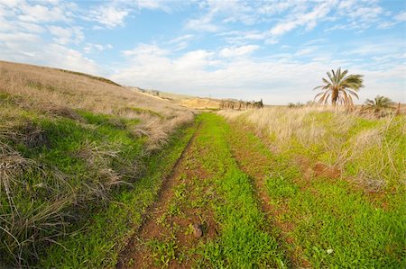 Withered Grass on the Winter Hills of Israel Foto de stock - Super Valor sin royalties y Suscripción, Código: 400-06521469