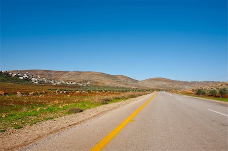 simsearch:400-06521455,k - Olive Grove and Palestinian Village near the Road on the West Bank Fotografie stock - Microstock e Abbonamento, Codice: 400-06521471