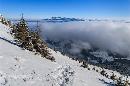 simsearch:400-04513584,k - winter landscape with a mountain background. Location: Piatra Craiului Mountains, Romania Foto de stock - Super Valor sin royalties y Suscripción, Código: 400-06521480