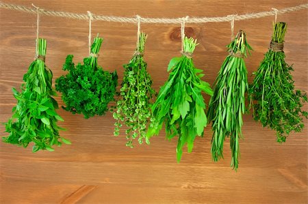 spice gardens - Fresh Herbs Collection is Hanging and Wooden texture / Vintage Style Stock Photo - Budget Royalty-Free & Subscription, Code: 400-06521592