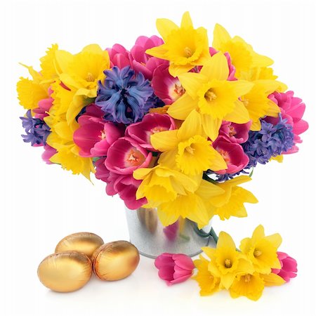 Tulip, daffodil and hyacinth flower arrangement in a metal vase with chocolate golden easter egg group over white background. Stock Photo - Budget Royalty-Free & Subscription, Code: 400-06522070