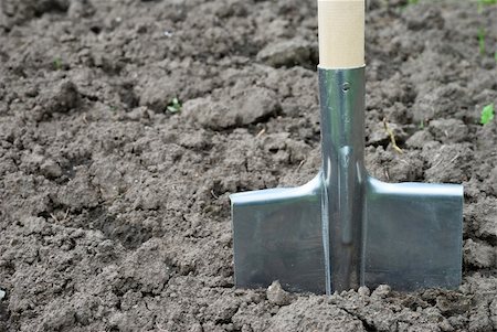 shovel in dirt - Shovel in the ground Stock Photo - Budget Royalty-Free & Subscription, Code: 400-06522251