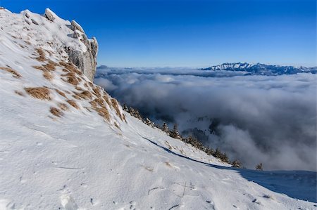 simsearch:400-04513584,k - winter landscape with a mountain background. Location: Piatra Craiului Mountains, Romania Foto de stock - Super Valor sin royalties y Suscripción, Código: 400-06522279