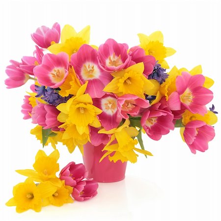 simsearch:400-06356460,k - Tulip, daffodil and hyacinth flower arrangement in a pink vase over white background. Foto de stock - Super Valor sin royalties y Suscripción, Código: 400-06522293