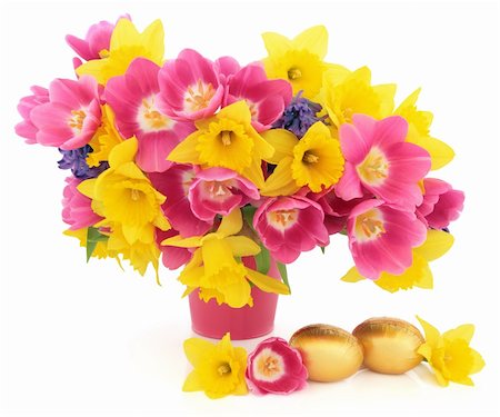 simsearch:400-06356460,k - Tulip, daffodil and hyacinth flower arrangement in a pink vase with gold easter chocolate egg group over white background. Foto de stock - Super Valor sin royalties y Suscripción, Código: 400-06522350