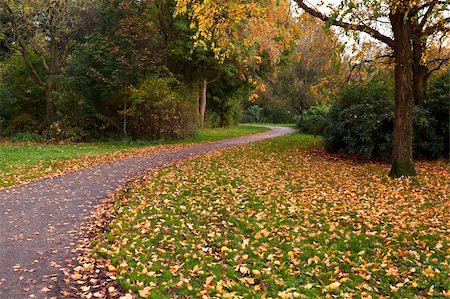 simsearch:400-08035898,k - narrow path in colorful autumn park Stock Photo - Budget Royalty-Free & Subscription, Code: 400-06522628