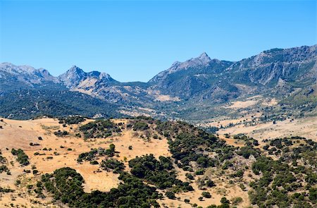 dry swamps - mountains and fields close to Zahara de Sierra in Andalucia Stock Photo - Budget Royalty-Free & Subscription, Code: 400-06522633
