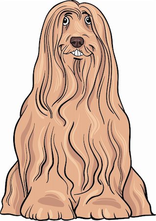 simsearch:400-06523040,k - Cartoon Illustration of Cute Bearded Collie Purebred Dog Photographie de stock - Aubaine LD & Abonnement, Code: 400-06522996