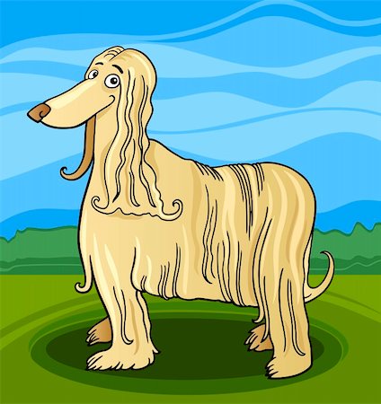 Cartoon Illustration of Funny Long Hair Afghan Hound Dog Stock Photo - Budget Royalty-Free & Subscription, Code: 400-06522991