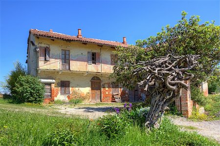 rglinsky (artist) - Old abandoned rural house, green grass and tree under clear blue sky in spring in Piedmont, Northern Italy. Foto de stock - Super Valor sin royalties y Suscripción, Código: 400-06523009